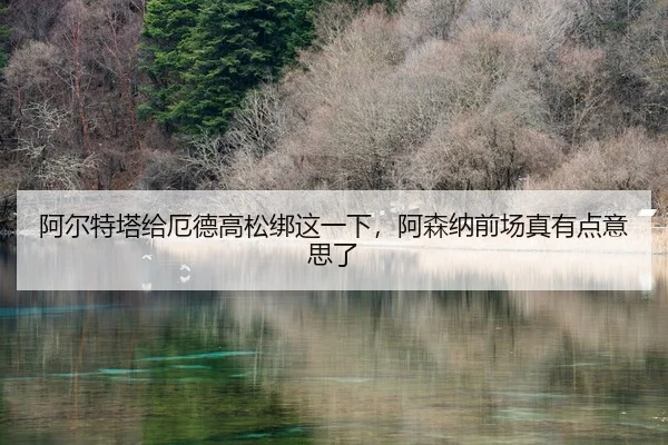 a-er-te-ta-gei-e-de-gao-song-bang-zhe-yi-xia-a-sen-na-qian-chang-zhen-you-dian-yi-si-le-2-786.jpg